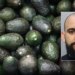 Florida man arrested for allegedly stealing 400 kilos of avocados