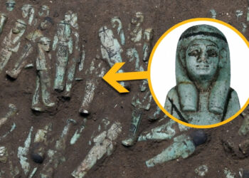 Trove of 225 ‘Distinctive’ Egyptian Collectible figurines Solves Lengthy-Standing Thriller : ScienceAlert Trove of 225 ‘Distinctive’ Egyptian Collectible figurines Solves Lengthy-Standing Thriller : ScienceAlert