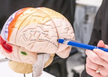 Your character is extra sophisticated than you assume