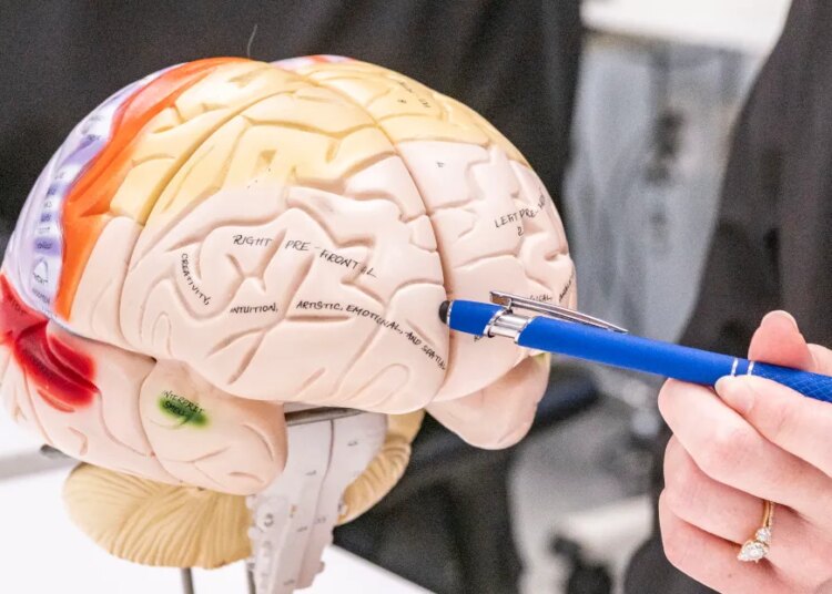 Your character is extra sophisticated than you assume