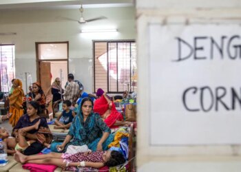 Dengue outbreaks are rising. A promising antiviral was deserted by its maker.