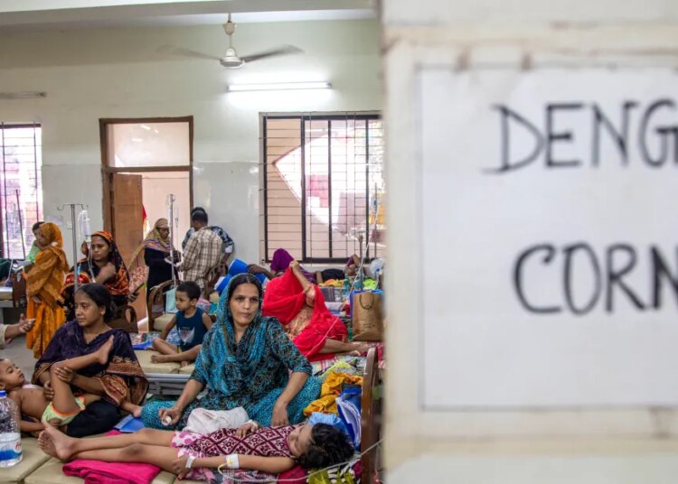 Dengue outbreaks are rising. A promising antiviral was deserted by its maker.