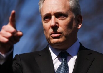 What does Trump’s AI czar need?