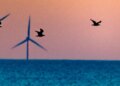 Trump halts 5 East Coast wind farms: What to know