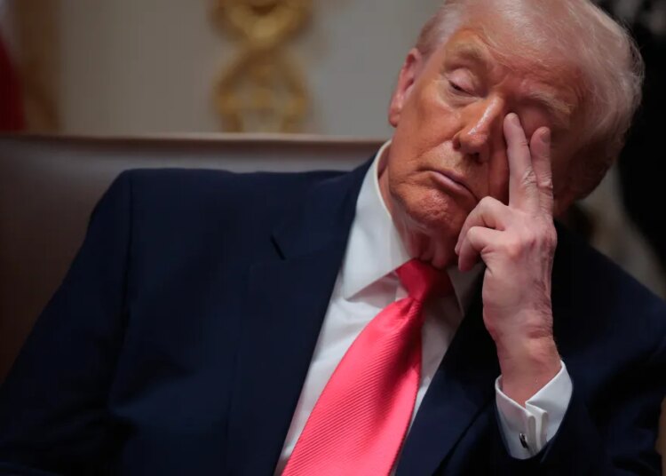 The talk over whether or not MAGA is falling aside, defined The talk over whether or not MAGA is falling aside, defined