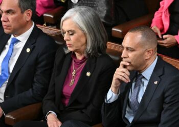 Reasonable Democrats reject Hakeem Jeffries management challenges from left