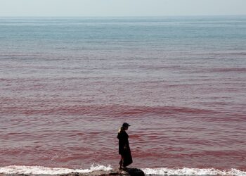 Viral video reveals how rain turns Hormuz Island panorama and ocean blood-red Viral video reveals how rain turns Hormuz Island panorama and ocean blood-red