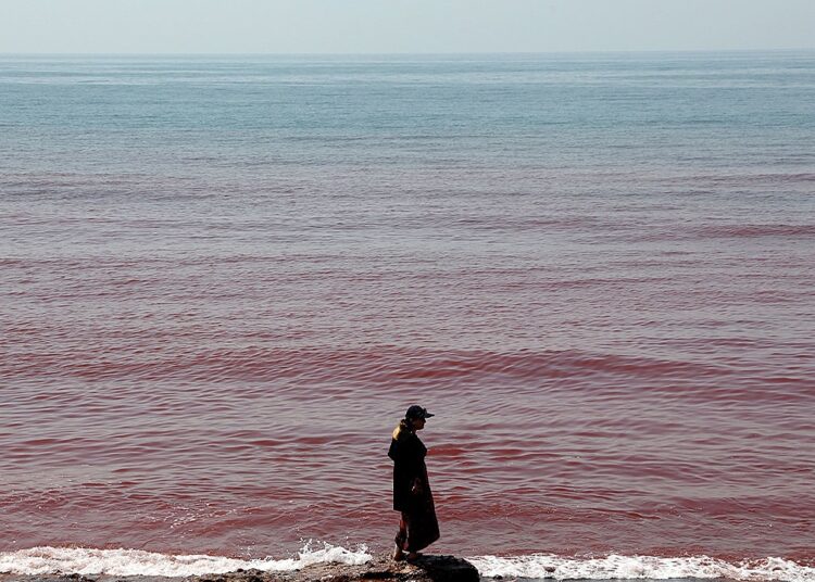 Viral video reveals how rain turns Hormuz Island panorama and ocean blood-red