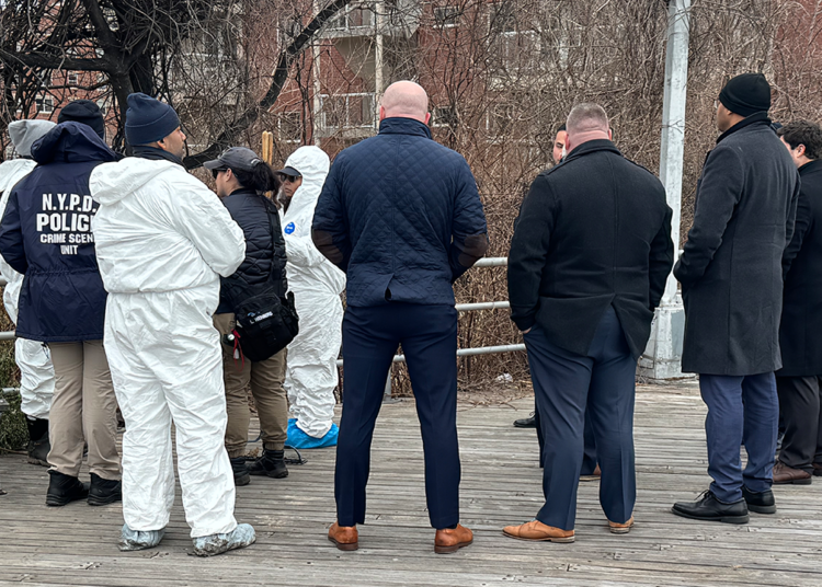 Human cranium, different stays found in bushes close to Brooklyn’s Coney Island