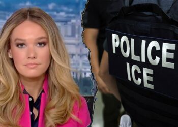 DHS accuses Senate Democrats of twisting information to ‘smear ICE’