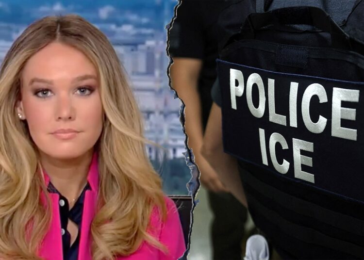 DHS accuses Senate Democrats of twisting information to ‘smear ICE’