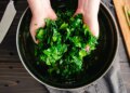 Including oil to kale dramatically boosts nutrient absorption, new examine finds