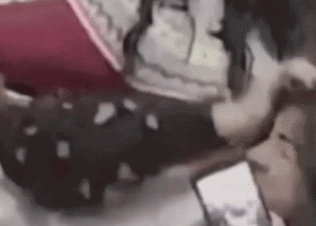 Mexico Metropolis lawmakers brawl, yank hair throughout transparency debate