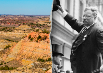 President Theodore Roosevelt involves life through AI at namesake park