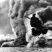 103-year-old Pearl Harbor survivor Ken Schubring remembers Dec. 7 assault 103-year-old Pearl Harbor survivor Ken Schubring remembers Dec. 7 assault