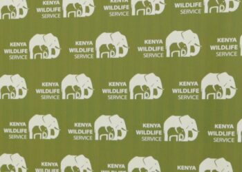Kenyans protest after roaming elephants kill 4 folks in per week