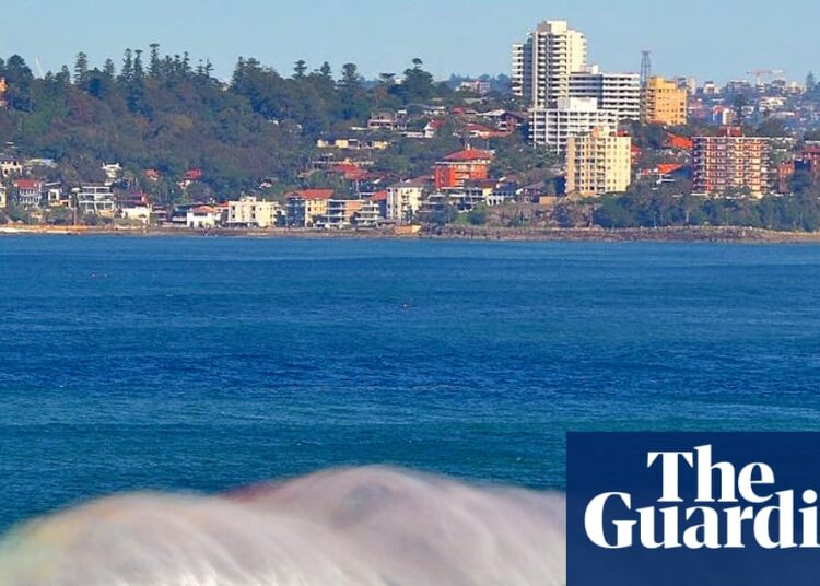 4 shark assaults in 48 hours go away Australian surfer Matt extra afraid of native seashores than world’s greatest waves | Sharks