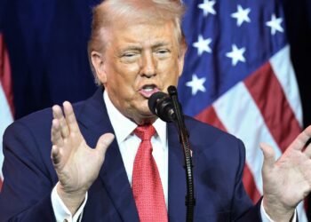 Trump weighs utilizing U.S. navy to accumulate Greenland: White Home