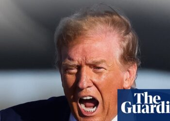 ‘You don’t wish to dwell inside his head’: diplomats’ dilemma within the age of Trump | Donald Trump