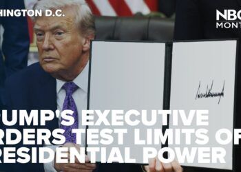 TRUMP'S EXECUTIVE ORDERS TEST LIMITS OF PRESIDENTIAL POWER