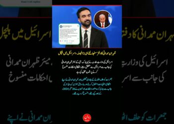 New York Mayor Zohran Mamdani’s First Choice Sparks Political Storm Over Israel