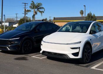 Mannequin Y Overview (Ought to You Get a Premium or Efficiency)