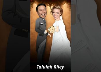 The Universe Of Elon Musk #shorts #youtubeshorts #info #factvideo #viralshorts #trendingshorts