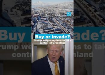 Purchase or invade? Trump weighs choices to take management of Greenland • FRANCE 24 English