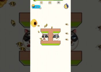 save the doge degree 285