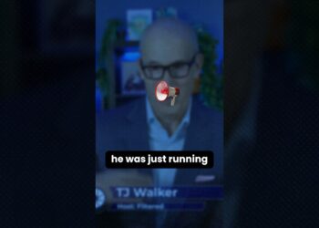 Steve Bannon Simply Signaled His Presidential Ambitions #politics #election