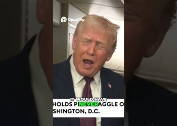 Trump Claims He Can Cease Biden’s Struggle | Surprising Assertion /#shorts #brief #shortvideo #youtubeshorts