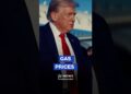 “Gasolina”: White Home celebrates gasoline value drop with Trump edit