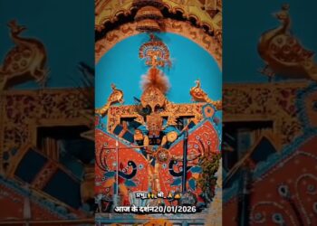 #cybertruck#tesla#tesl#elonmusk#teslamotors  #mannequin #spacex#ev #teslaowne #vehicles #teslas #d #electrical