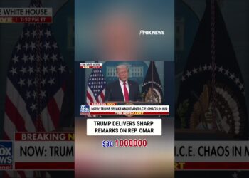 Trump slams Rep. Ilhan Omar as ‘crooked’ and claims she ‘by no means had a job’