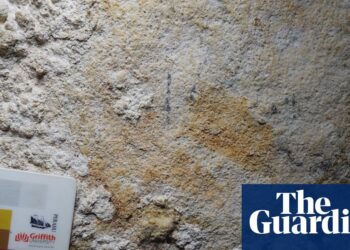 Hand form in Indonesian cave could also be world’s oldest identified rock artwork | Archaeology