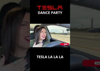 Let it Drive! Self-Driving Tesla