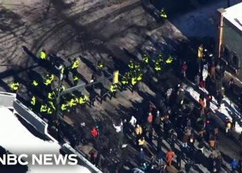 Trump administration defends capturing of Minneapolis man by federal brokers