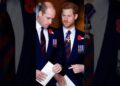 Prince Harry Takes Swing at Donald Trump Over Afghanistan Conflict Remarks