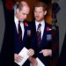 Prince Harry Takes Swing at Donald Trump Over Afghanistan Conflict Remarks