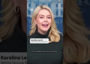 Donald Trump sends 'border czar' Tom Homan to Minnesota | ABC NEWS