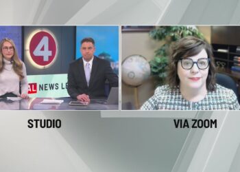 Interview: Immigration lawyer speaks on Sean Ryan's govt order