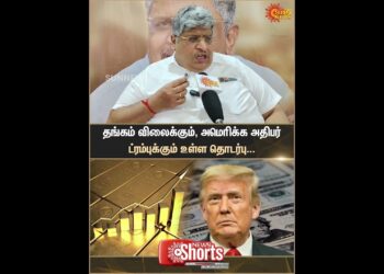 Anand Srinivasan | Interview | Gold Value Hike | Donald Trump | Solar Information