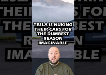 This Gained't Sit Effectively With The Tesla Devoted