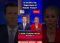 Is the DOJ the 'Division of Donald Trump'?. #information
