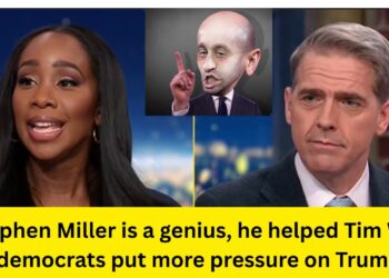 Scott Jennings/MAGA Can't STOP Deflecting & Is This The Finish of Kristi Noem and Stephen Miller ?