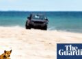 Canadian backpacker’s dying poses query for Queensland’s Ok’gari: can dingoes and vacationers coexist? | Ok’gari (Fraser Island) Canadian backpacker’s dying poses query for Queensland’s Ok’gari: can dingoes and vacationers coexist? | Ok’gari (Fraser Island)