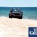 Canadian backpacker’s dying poses query for Queensland’s Ok’gari: can dingoes and vacationers coexist? | Ok’gari (Fraser Island) Canadian backpacker’s dying poses query for Queensland’s Ok’gari: can dingoes and vacationers coexist? | Ok’gari (Fraser Island)