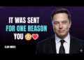 Elon Musk | Somebody Despatched Me One thing Surprising… And It Factors Straight to My Future Spouse 😳🔍