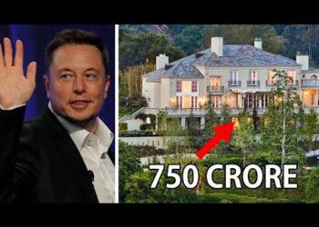 How Elon Musk Spends his Billions ?