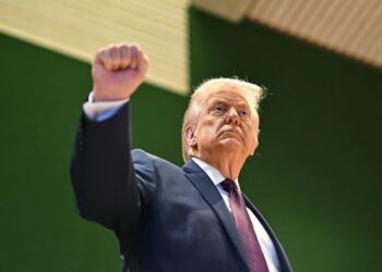 Europe’s allies simply uncovered Trump’s core weak point—and likewise America’s.